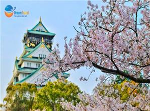 [HCM] Tour Nhật Bản Hành Trình Vàng Đẹp Nhất 2026